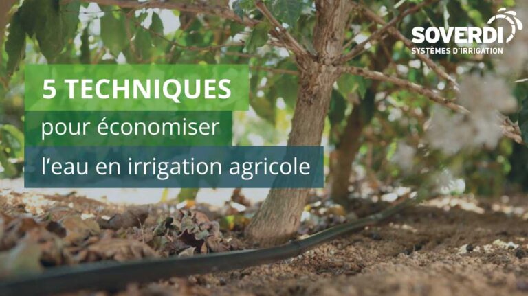 5-techniques-pour-économiser-leau-en-irrigation